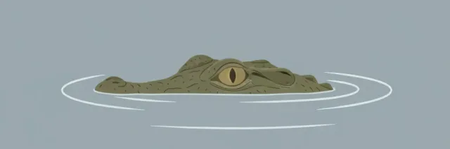 A stylized crocodile eye and snout emerging from flat water, minimal flat vector illustration in muted olive and grey tones.