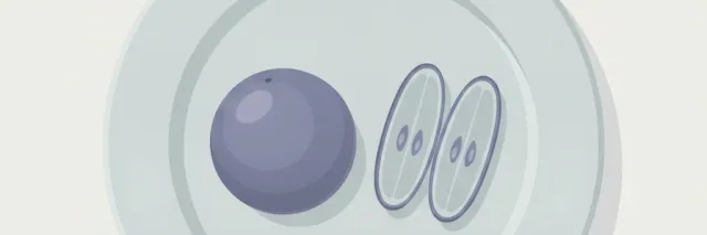 A single whole round grape beside two lengthwise-quartered grape pieces on a pale grey-blue plate, viewed from directly above, flat vector illustration.